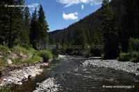 233 Absaroka creek IMG 0036 (2)